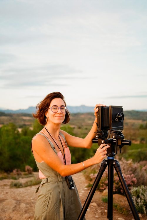 paula-artes-web